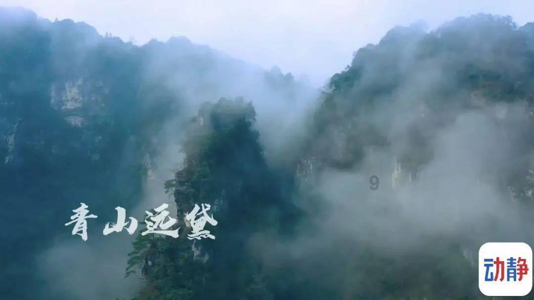 88影视