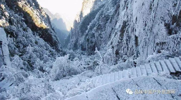 小猫钓鱼开船版最新版下载